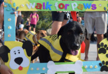 WALK FOR PAWS