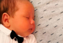 HAYDEN COHNNERY ALEXANDER