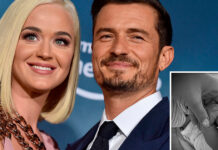 DAISY DOVE BLOOM A NACE