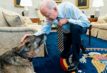 PRESIDENTE JOE BIDEN TA DI LUTO PA MORTO DI CHAMP