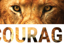 LOKE A RESULTA DEN DANIELAKURA SU ‘BURN-OUT’