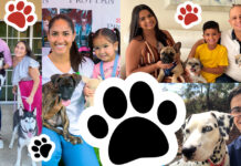 MISION DIA MUNDIAL DI E ANIMALNAN