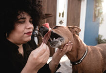 BO TA SIRBI UN ENERGIA DIVINO ORA BO TA STIMA BESTIA