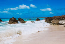 âHIGH VALUE LOW IMPACTâ: E MODELO DI SOSTENIBILIDAD CU A.T.A. TA APLICA