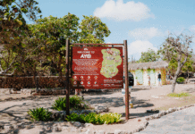 AYO ROCK FORMATION A HAYA UN APARIENCIA NOBO